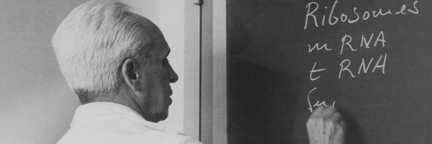 La ciencia española a examen en Nature (1972)