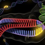CRISPR, patentes y cómo la innovación crea (o no) empleo
