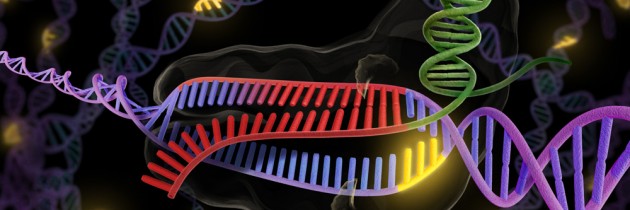 CRISPR, patentes y cómo la innovación crea (o no) empleo